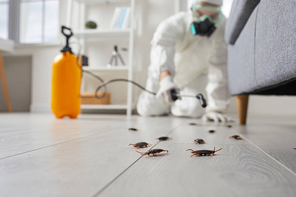 Post-Treatment Bed Bug Interceptor Monitoring in Tri-Lakes